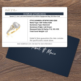 Takeshi 1/2 ct tw. Lab Grown Diamond Oval Solitaire Engagement Ring 10K Yellow Gold