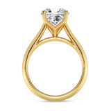 Photo of Jena 3 ct tw. Cushion Solitaire Engagement Ring 10K Yellow Gold [BT2211YE-U295]