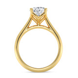 Photo of Jena 2 ct tw. Lab Grown Diamond Oval Solitaire Engagement Ring 14K Yellow Gold [BT2165YE-I195]