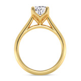 Photo of Jena 2 ct tw. Diamond Pear Solitaire Engagement Ring 14K Yellow Gold [BT2198YE-F195]