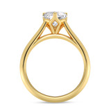 Photo of Jena 3/4 ct tw. Lab Grown Diamond Heart Solitaire Engagement Ring 10K Yellow Gold [BT2223YE-C000]