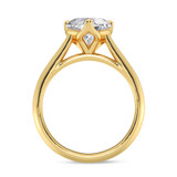 Photo of Jena 2 ct tw. Lab Grown Diamond Heart Solitaire Trio Set 10K Yellow Gold [BT2175YE-W195]