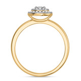 Photo of Ignaz 1/5 ct tw. Diamond Round Cluster Engagement Ring 14K Yellow Gold [BT2273YE-C000]