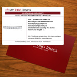 Iva 11 CT. T.W. Natural Diamond Round Bracelet 14K White Gold