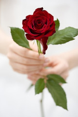 A Brief Recap of the Bachelorette Finale