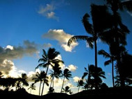 4 Budget Honeymoon Ideas