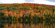 Where to Propose in Vermont