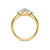 Photo of Amari 3/4 ct tw. Lab Grown Oval Solitaire Diamond Matching Trio Ring Set 10K Yellow Gold [BT1419YE-C000]
