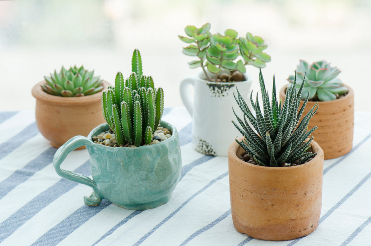 How to Pot Artificial Plants for Outside! 