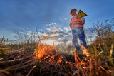 How to Stop Wildfires