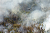 How Often Do Wildfires Occur 