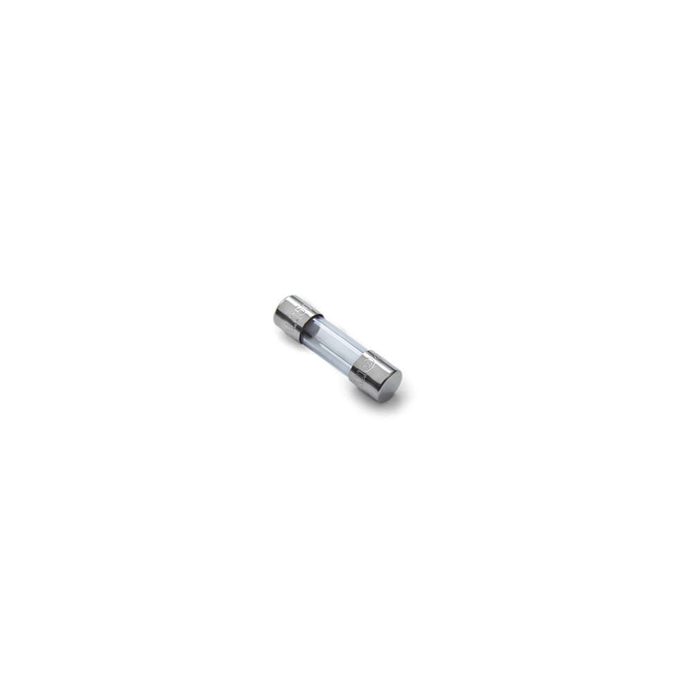 RP-EverFlo Fuse-230V, 1038790