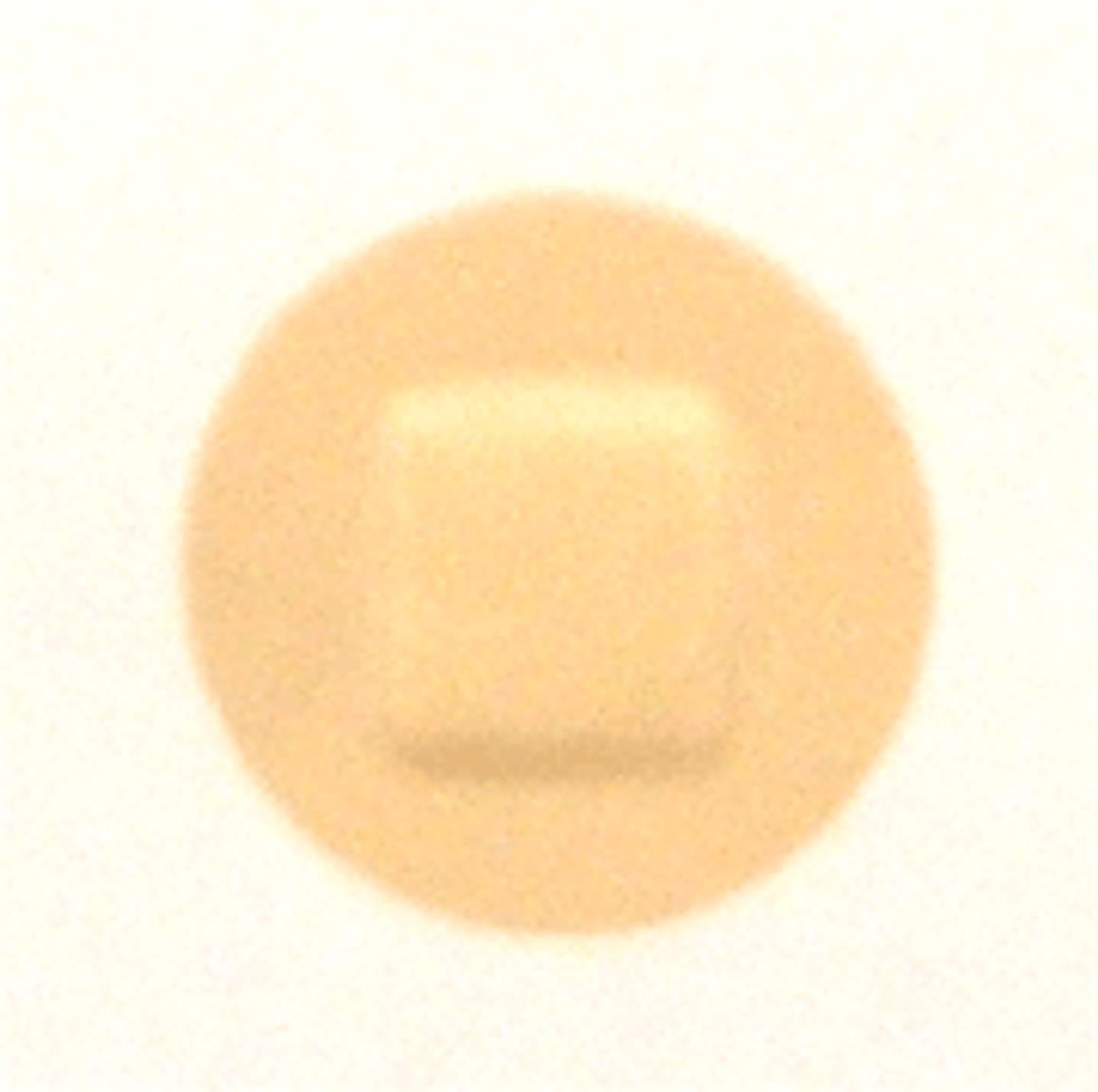 Derma Sciences 1307033