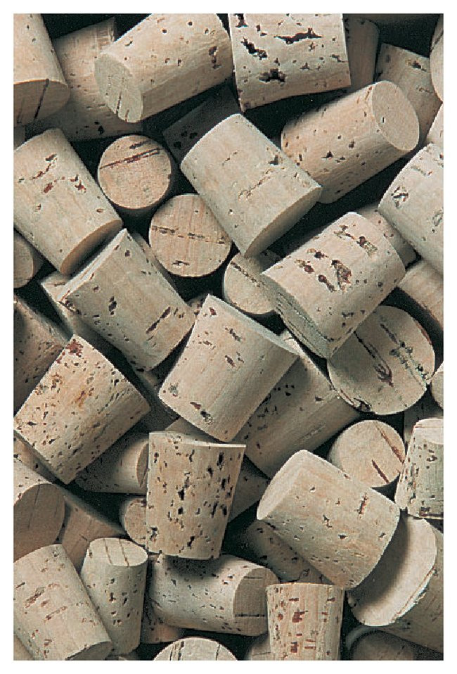 GSC Go Science Crazy 07782B