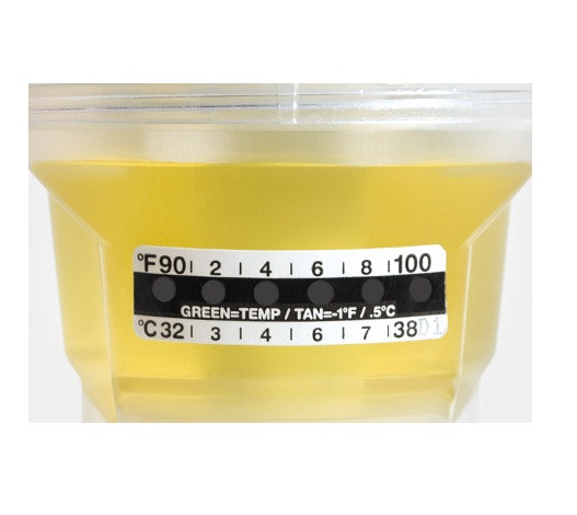 Globe Scientific 112214