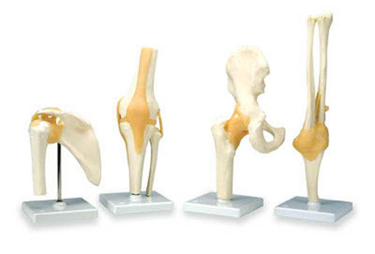 Nasco Company SB41404