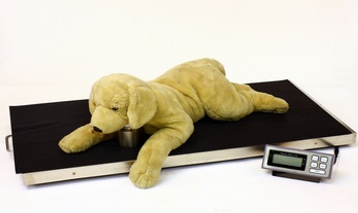 660lb veterinary dog scale with stainless