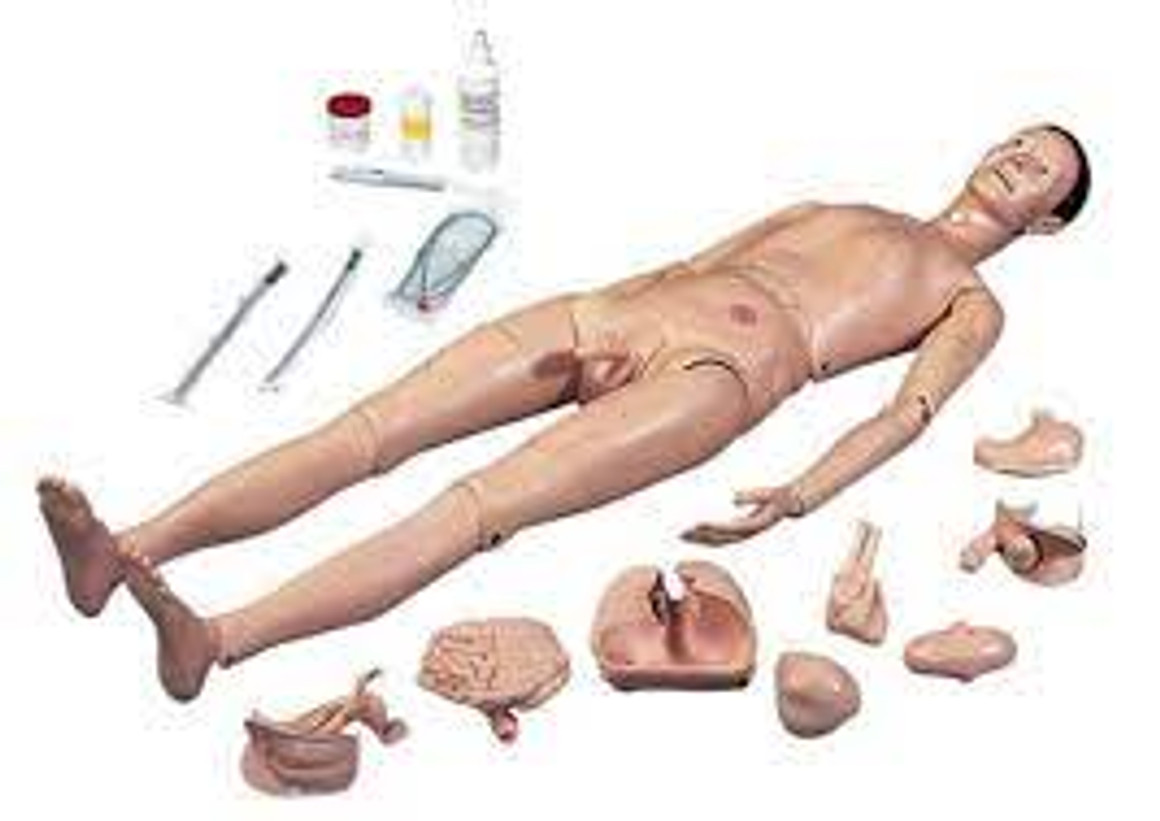 3B Scientific® Patient Care Manikin PRO