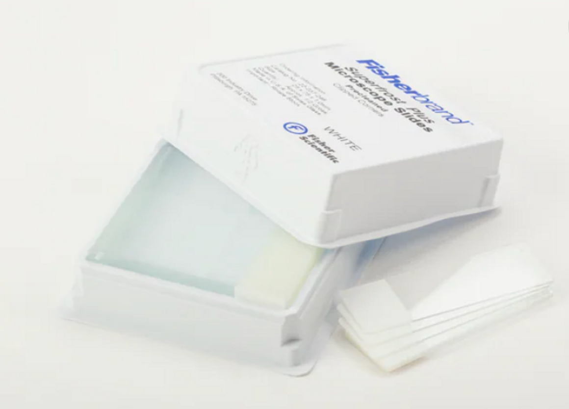 Superfrost™ Plus Microscope Slides Medex Supply