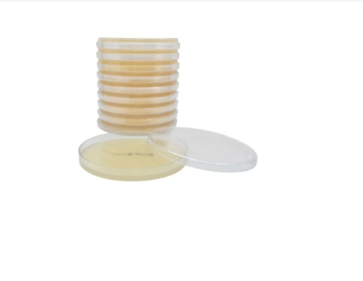 Mueller Hinton Agar Plate 15x150mm, 10/Pk