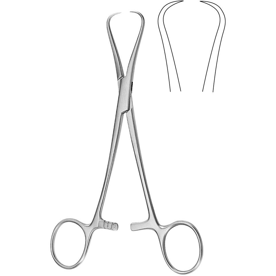 Miltex Adair Tissue Holding Tenaculum Forceps, 6-3/4" (170Mm)., 16-51