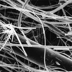 Millipore Glass Fiber Filters, 47mm, 1.2 microns Medex Supply