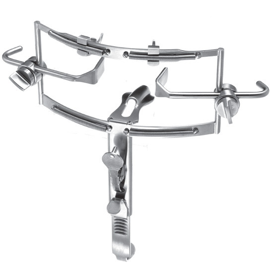 Miltex Dingman Mouth Gag Complete Set, Frame And 3 Tongue Blades: Small ...