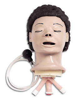 Nasco Life/form Adult Airway Management Trainer Medex Supply