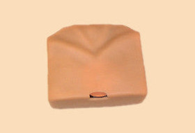 Fast Trainer, 101-201