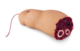 Amputated Leg Smart Stat, 101-408