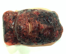 Xtreme Face Burn 3rd Degree, 800-002