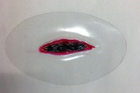 Double Edge Knife, 800-730