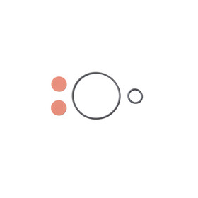 SimplyGo Check Valve/Gasket Kit, 1093284