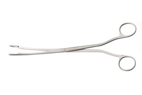 Desjardin Gallstone Grasping Forceps 9 1/4" (23.5 cm), 172625