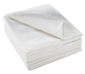 Drape McKesson Exam Drape 2 ply, 40 W X 48 L Inch NS, 100/Case
