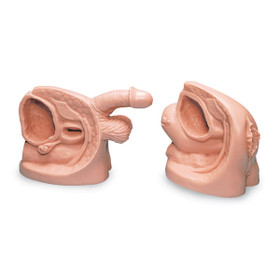 Nasco Company LF01152