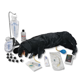 Nasco Company LF01155