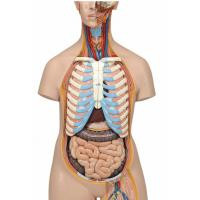 Nasco Company Model SB41421