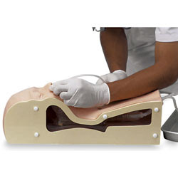 Nasco Company SB47333