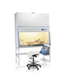 Thermo Scientific 13261339