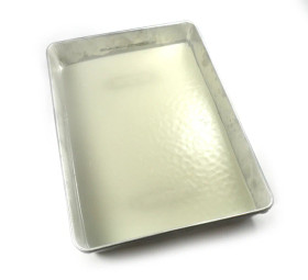 Eisco Dissection Tray