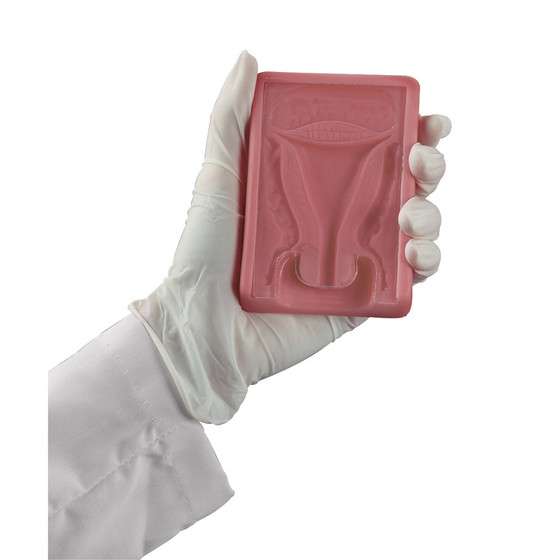 IUD Trainer, 160-1912