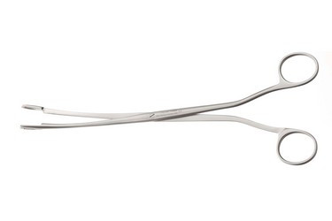 Desjardin Gallstone Grasping Forceps 9 1/4" (23.5 cm), 172625