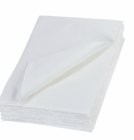Mckesson Pillowcase Standard White 21 x 30 100/Case