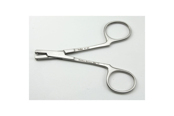 Ring Handled 4-1/4" (10.8Cm), 1Mm Punch, 17-101