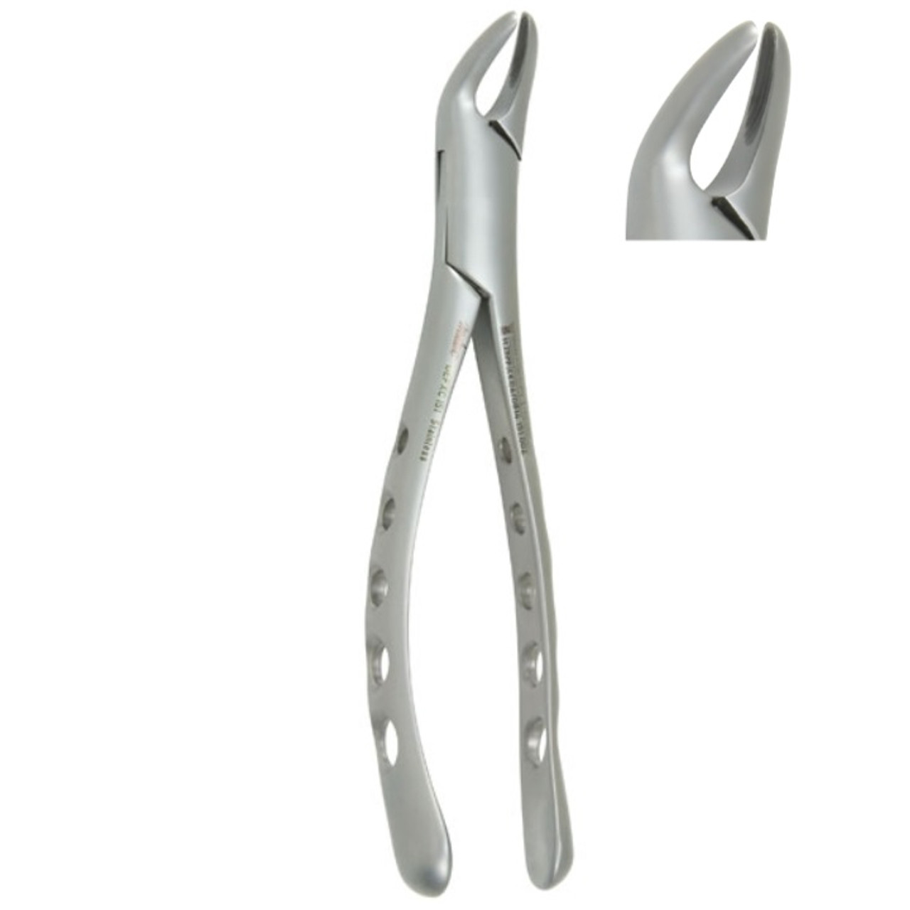 Extracting Forceps, 151, Xcision, DEFXC151