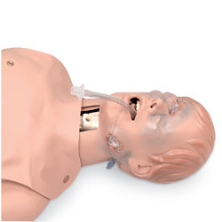 Critical Airway Management Trainer, 101-060
