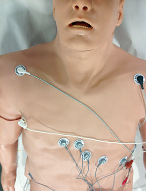 Zoll 12-Lead Arrhythmia Simulator With Manikin Overlay, Large, 101-12-000L