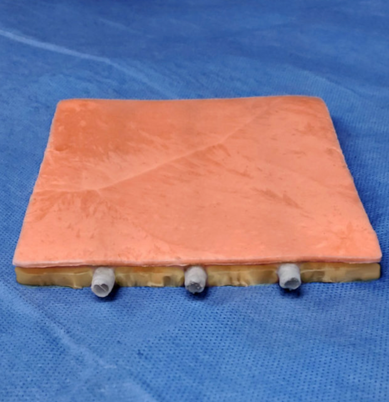 Deep And Peripheral Embedded Veins Venipuncture Model, 253