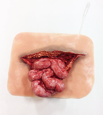 Xtreme Eviserated Intestine, 800-003